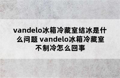 vandelo冰箱冷藏室结冰是什么问题 vandelo冰箱冷藏室不制冷怎么回事